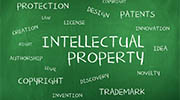 Czech Republic intellectual property rights investigator